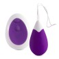INTENSE - OEUF VIBRANT TÉLÉCOMMANDE JAN LILAS INTENSE - OEUF VIBRANT TÉLÉCOMMANDE JAN LILAS