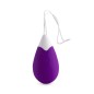 INTENSE - OEUF VIBRANT TÉLÉCOMMANDE JAN LILAS INTENSE - OEUF VIBRANT TÉLÉCOMMANDE JAN LILAS