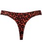 ANAIS MEN - TRIBAL STRING S ANAIS MEN - TRIBAL STRING S
