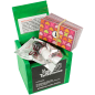 DIABLO PICANTE ? DAS TENTATION-BOX-SPIEL DIABLO PICANTE ? DAS TENTATION-BOX-SPIEL