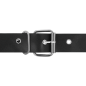 HARNESS ATTRACTION - RNES TAYLOR DELUXE 18 CM -O- 4.5 CM HARNESS ATTRACTION - RNES TAYLOR DELUXE 18 CM -O- 4.5 CM