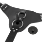 HARNESS ATTRACTION - RNES MURDOCK 19.8 + 15 CM -O- 4 CM HARNESS ATTRACTION - RNES MURDOCK 19.8 + 15 CM -O- 4 CM