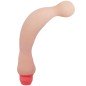 BAILE - VIBRATEUR FLEXI VIBE SENSUAL SPINE 22 CM BAILE - VIBRATEUR FLEXI VIBE SENSUAL SPINE 22 CM