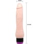 BAILE - ADOUR CLUB REALISTISCHER VIBRATOR BREITE BASIS 22 CM BAILE - ADOUR CLUB REALISTISCHER VIBRATOR BREITE BASIS 22 CM