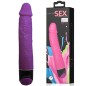 BAILE - BUNTER SEX LILA REALISTISCHER VIBRATOR 23 CM BAILE - BUNTER SEX LILA REALISTISCHER VIBRATOR 23 CM
