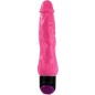 BAILE - BUNTER SEX REALISTISCHER VIBRATOR ROSA 24 CM BAILE - BUNTER SEX REALISTISCHER VIBRATOR ROSA 24 CM