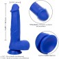 CALEXOTICS - ADMIRAL KAPITN REALISTISCHER DILDO-VIBRATOR BLAU CALEXOTICS - ADMIRAL KAPITN REALISTISCHER DILDO-VIBRATOR BLAU