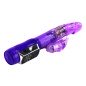 BAILE - US RABBIT PASSION BARON BAILE - US RABBIT PASSION BARON