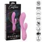 CALEXOTICS - CONTOUR ZOIE ROSE CALEXOTICS - CONTOUR ZOIE ROSE