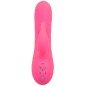 CALEXOTICS - SACRAMENTO SWEETIE VIBRATOR RABBIT PINK BY CALIFORNIA DREAMING CALEXOTICS - SACRAMENTO SWEETIE VIBRATOR RABBIT PINK BY CALIFORNIA DREAMING