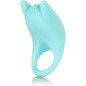 CALEXOTICS - DUAL EXCITER ENHANCER CALEXOTICS - DUAL EXCITER ENHANCER