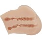 CRAZY BULL - REALISTIC VAGINA AND ANUS LUNA VIBRATOR CRAZY BULL - REALISTIC VAGINA AND ANUS LUNA VIBRATOR