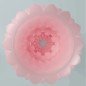 PRETTY LOVE - MASTURBATEUR POUR HOMME ATHENA ALICE ROSE PRETTY LOVE - MASTURBATEUR POUR HOMME ATHENA ALICE ROSE