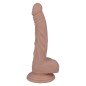 MR INTENSE - 12 PÉNIS RÉALISTE 18.2 CM -O- 2.5 CM MR INTENSE - 12 PÉNIS RÉALISTE 18.2 CM -O- 2.5 CM
