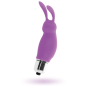 INTENSE - LAPIN ROGER LILAS INTENSE - LAPIN ROGER LILAS
