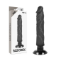 BASECOCK - VIBRATEUR RÉALISTE 2-1 NATUREL 20 CM BASECOCK - VIBRATEUR RÉALISTE 2-1 NATUREL 20 CM