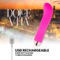 DOLCE VITA - VIBRATEUR RECHARGEABLE DEUX ROSE 7 VITESSES DOLCE VITA - VIBRATEUR RECHARGEABLE DEUX ROSE 7 VITESSES