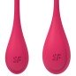 SATISFYER - ENSEMBLE ENTRAÎNEMENT YONI POWER 1 ROUGE SATISFYER - ENSEMBLE ENTRAÎNEMENT YONI POWER 1 ROUGE