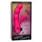 CALEXOTICS - ORGASME AU BORD DE LOCÉANS CALEXOTICS - ORGASME AU BORD DE LOCÉANS