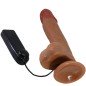 BAILE - CATOBLEPAS VIBRATEUR RÉALISTE 20,6 CM FLESH TÉLÉCOMMANDE BAILE - CATOBLEPAS VIBRATEUR RÉALISTE 20,6 CM FLESH TÉLÉCOMMANDE