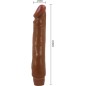 BAILE - JACK VIBRATEUR RÉALISTE 26 CM MULÂTRE BAILE - JACK VIBRATEUR RÉALISTE 26 CM MULÂTRE
