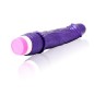 BAILE - VIBRATOR WELLEN DES VERGNÜGENS 23 CM LILA BAILE - VIBRATOR WELLEN DES VERGNÜGENS 23 CM LILA