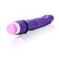 BAILE - VIBRATEUR VAGUES DE PLAISIR 23 CM VIOLET BAILE - VIBRATEUR VAGUES DE PLAISIR 23 CM VIOLET