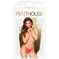 PENTHOUSE - HOT GETAWAY TONG CROTHLESS ROSE L/XL PENTHOUSE - HOT GETAWAY TONG CROTHLESS ROSE L/XL