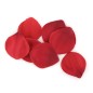 EXTASE SENSUAL - ROTE VERSUCHUNGSTRUHE EXTASE SENSUAL - ROTE VERSUCHUNGSTRUHE