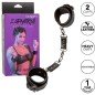 CALEXOTICS - EUPHORIA MENOTTES CALEXOTICS - EUPHORIA MENOTTES