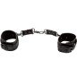 CALEXOTICS - EUPHORIA MENOTTES CALEXOTICS - EUPHORIA MENOTTES