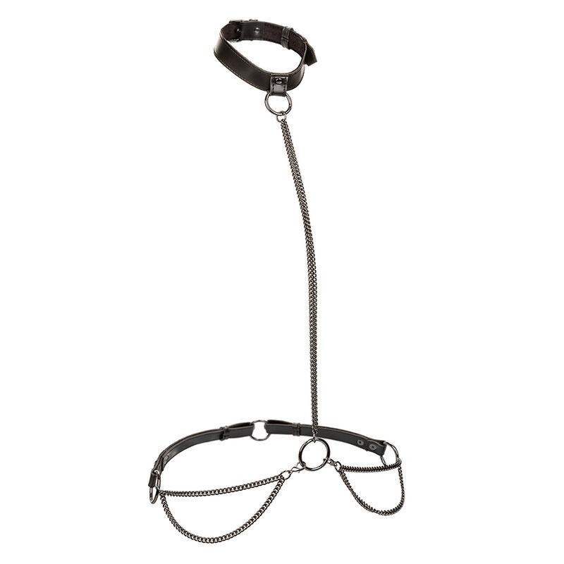 CALEXOTICS - EUPHORIA COLLIER ET LAISSE CHAINE CALEXOTICS - EUPHORIA COLLIER ET LAISSE CHAINE