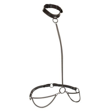 CALEXOTICS - EUPHORIA CHAIN HALTER COLLAR LEASH