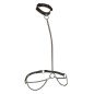 CALEXOTICS - EUPHORIA COLLIER ET LAISSE CHAINE CALEXOTICS - EUPHORIA COLLIER ET LAISSE CHAINE