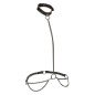 CALEXOTICS - EUPHORIA COLLIER LICOL ET LAISSE GRANDE TAILLE