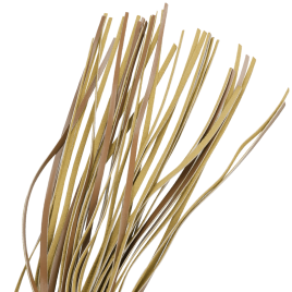 FETISH SUBMISSIVE ORIGIN - FOUET EN CUIR VEGAN