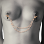 COQUETTE CHIC DESIRE - FANTASY METAL NIPPLE CLIPS WITH CHAIN COQUETTE CHIC DESIRE - FANTASY METAL NIPPLE CLIPS WITH CHAIN