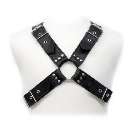 HARNAIS EN CUIR - BOUCLES