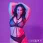 CALEXOTICS - EUPHORIA HARNAIS MULTICHAÎNE PREMIUM GRANDE TAILLE CALEXOTICS - EUPHORIA HARNAIS MULTICHAÎNE PREMIUM GRANDE TAILLE