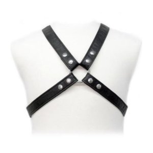 LEATHER BODY - LASIC HARNESS IN GEWAND