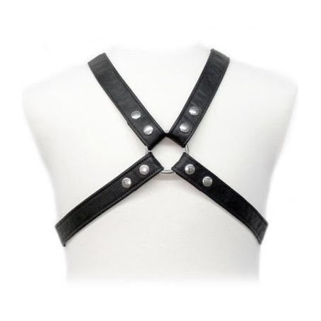LEATHER BODY - LASIC HARNESS IN GEWAND