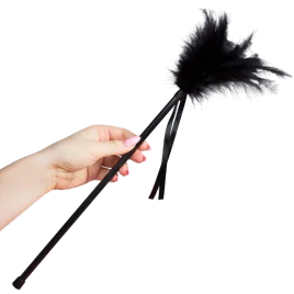 SECRETPLAY - PLUMES NOIRES 40 CM