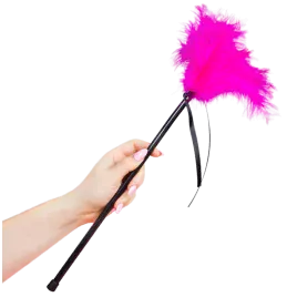 SECRETPLAY - PLUMES ROSE 40 CM