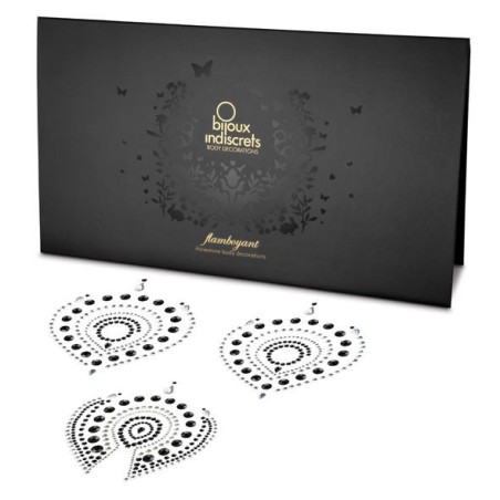 BIJOUX - INDISCRETS FLAMBOYANT NOIR ARGENT