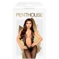 PENTHOUSE - FORBIDDEN FRUIT BODYSTOCKING XL PENTHOUSE - FORBIDDEN FRUIT BODYSTOCKING XL