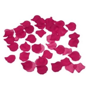 DIABLO PICANTE - 100 PÉTALES DE FUCHSIA