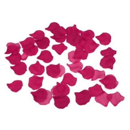 DIABLO PICANTE - 100 PÉTALES DE FUCHSIA