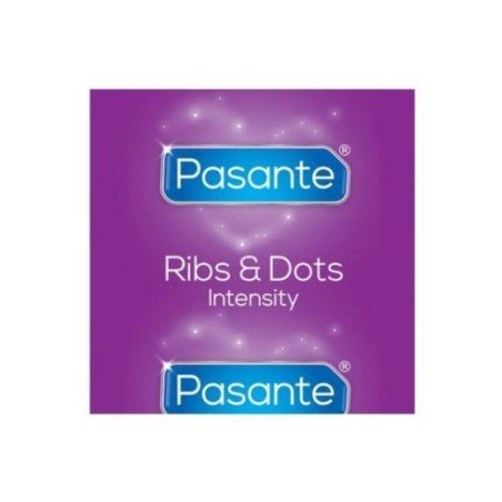PASANTE - INTENSITY KONDOME MIT MEHREREN TEXTUREN IN BULK-PACKUNG 144 EINHEITEN