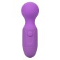 CALEXOTICS - FIRST TIME RECHARGEABLE MASSAGER 10 VIBRATIONS PURPLE