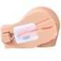 PDX ELITE - BACK THAT ASS UP REALISTIC VIBRATING VAGINA AND ANUS MASTURBATOR PDX ELITE - BACK THAT ASS UP REALISTIC VIBRATING VAGINA AND ANUS MASTURBATOR